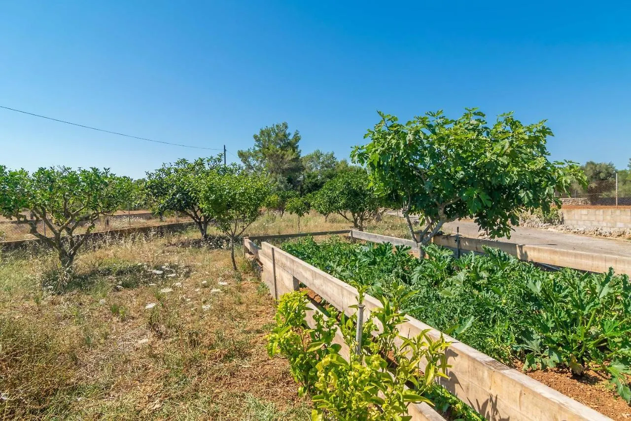 Sa Raconada Villa Algaida  0*, Algaida (Mallorca)